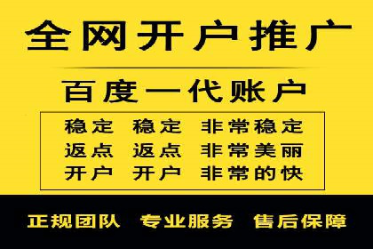 行业领先企业的网络推广与竞价经验